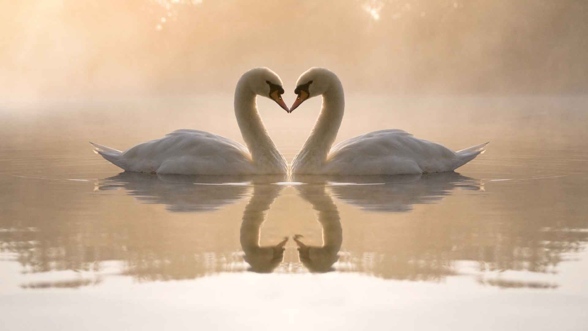 https://www.blogsky.com/Images/site/home-bg/4.jpg