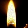 دانلـــدک هـــــا