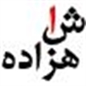 گروه شاهزاده علی اکبر جوان(ع)شهرستان میبد